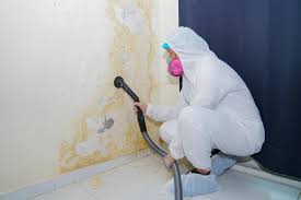 Best Industrial Mold Remediation  in Oakridge, OR